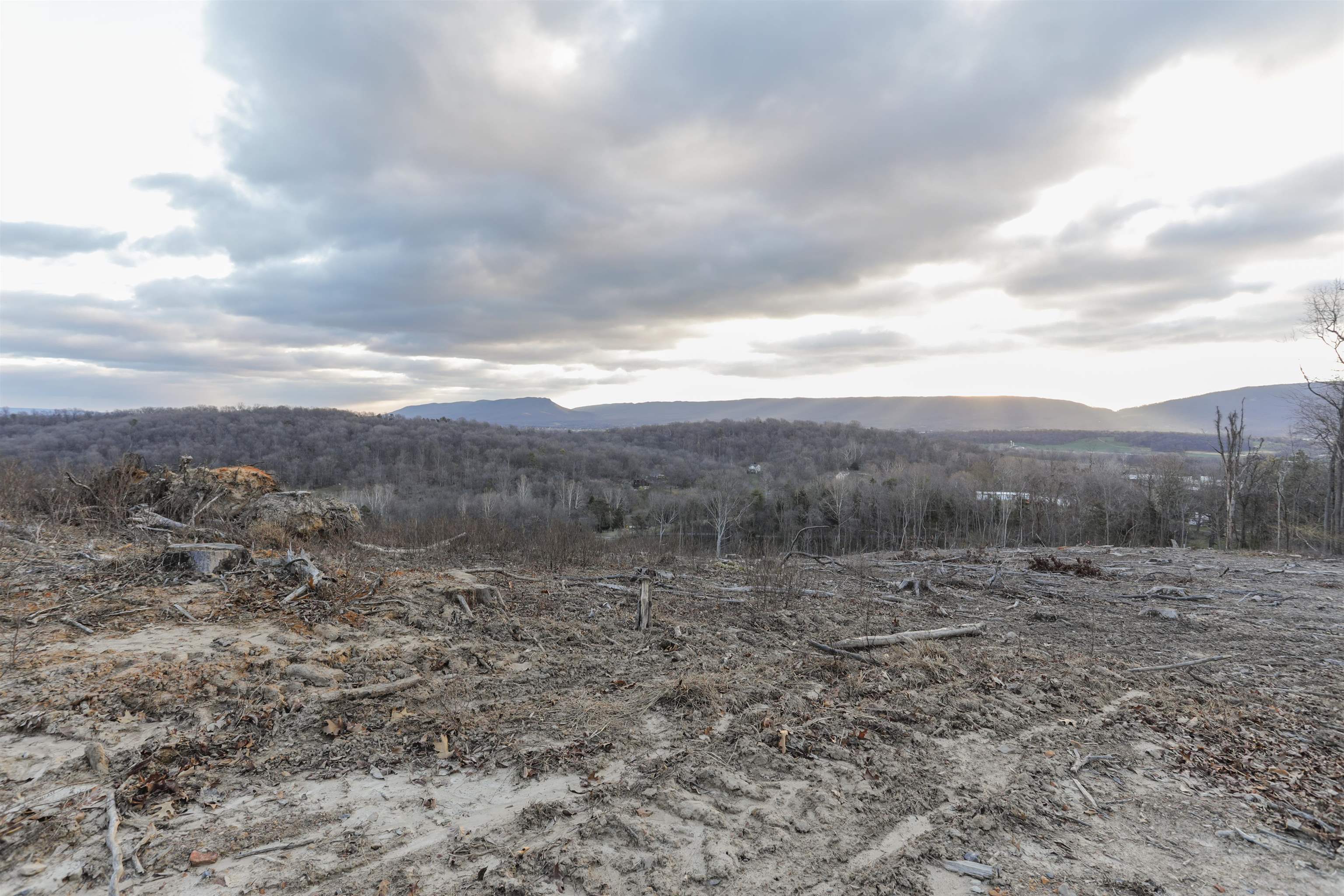 TBD NEW MARKET DEPOT RD, NEW MARKET, Virginia 22844, ,Land,TBD NEW MARKET DEPOT RD,664258 MLS # 664258
