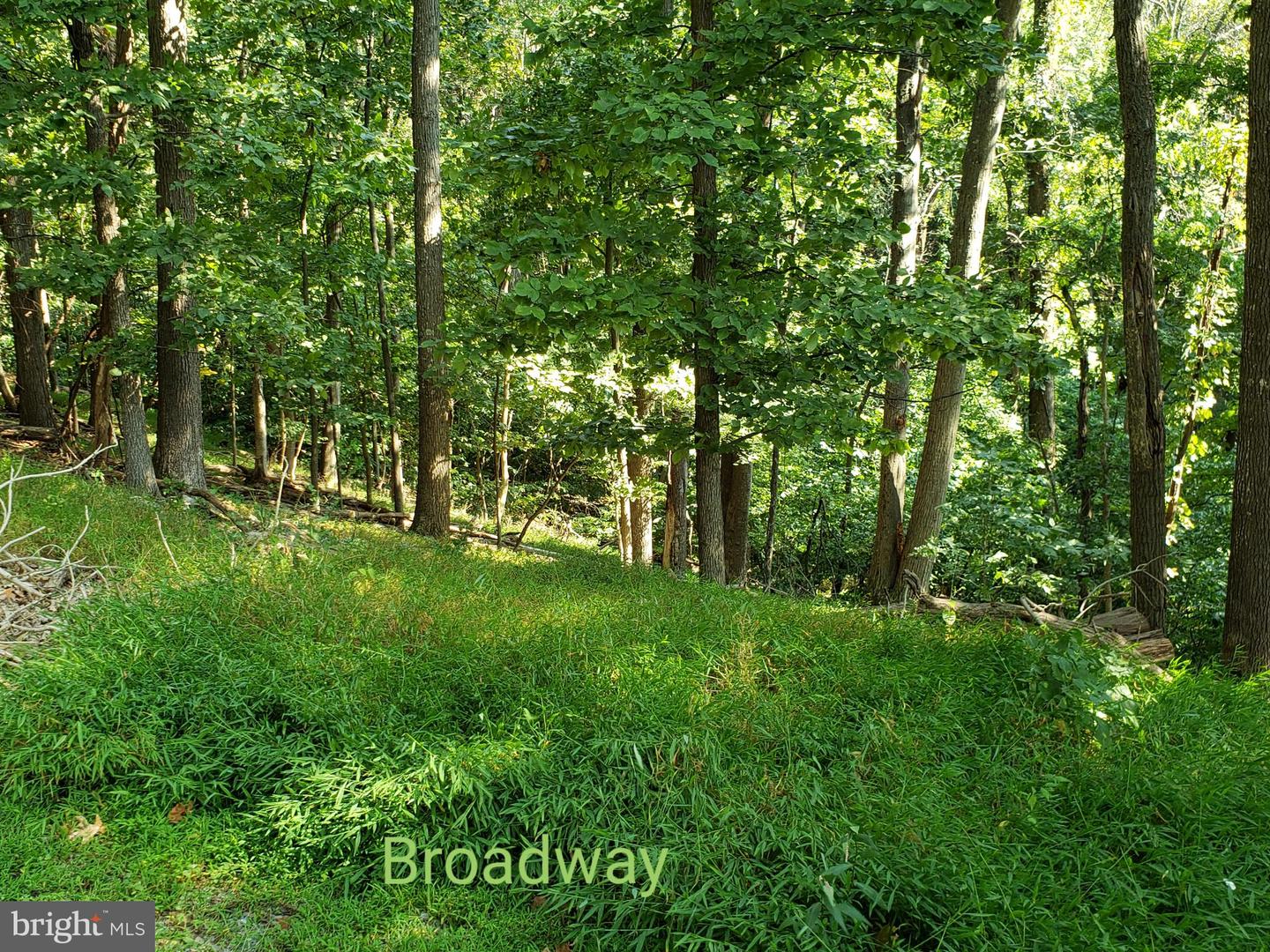 LOT 26 STECHER CT, LINDEN, Virginia 22642, ,Land,For sale,LOT 26 STECHER CT,VAWR2011084 MLS # VAWR2011084