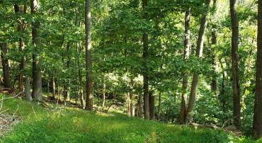 LOT 26 STECHER CT, LINDEN, Virginia 22642, ,Land,For sale,LOT 26 STECHER CT,VAWR2011084 MLS # VAWR2011084