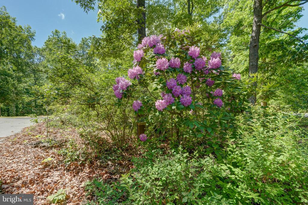 120 LAKEWOOD CIRCLE, MINERAL, Virginia 23117, 3 Bedrooms Bedrooms, ,2 BathroomsBathrooms,Residential,120 LAKEWOOD CIRCLE,VALA2007784 MLS # VALA2007784