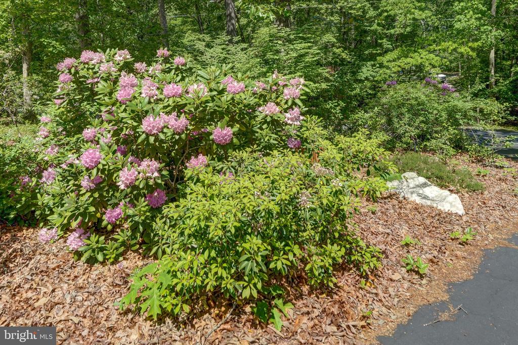 120 LAKEWOOD CIRCLE, MINERAL, Virginia 23117, 3 Bedrooms Bedrooms, ,2 BathroomsBathrooms,Residential,120 LAKEWOOD CIRCLE,VALA2007784 MLS # VALA2007784