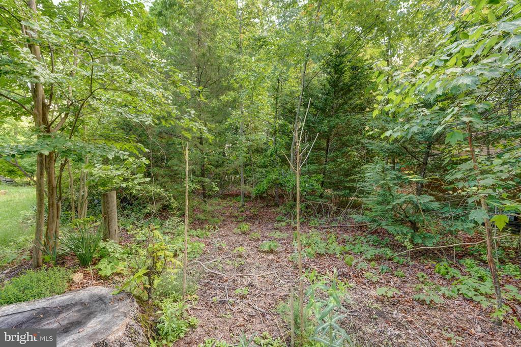 120 LAKEWOOD CIRCLE, MINERAL, Virginia 23117, 3 Bedrooms Bedrooms, ,2 BathroomsBathrooms,Residential,120 LAKEWOOD CIRCLE,VALA2007784 MLS # VALA2007784