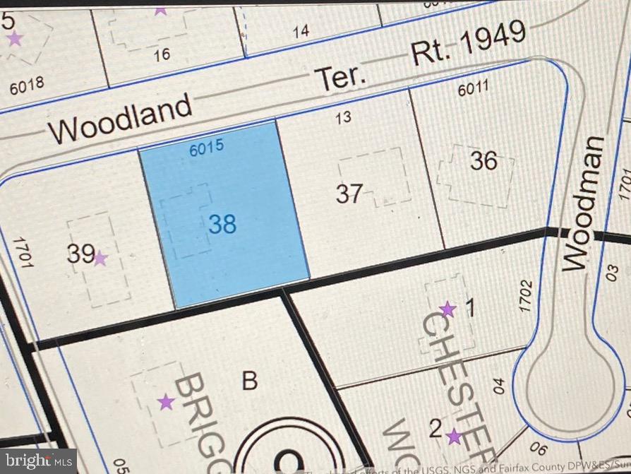6015 WOODLAND TER, MCLEAN, Virginia 22101, 4 Bedrooms Bedrooms, ,2 BathroomsBathrooms,Residential,For sale,6015 WOODLAND TER,VAFX2236002 MLS # VAFX2236002