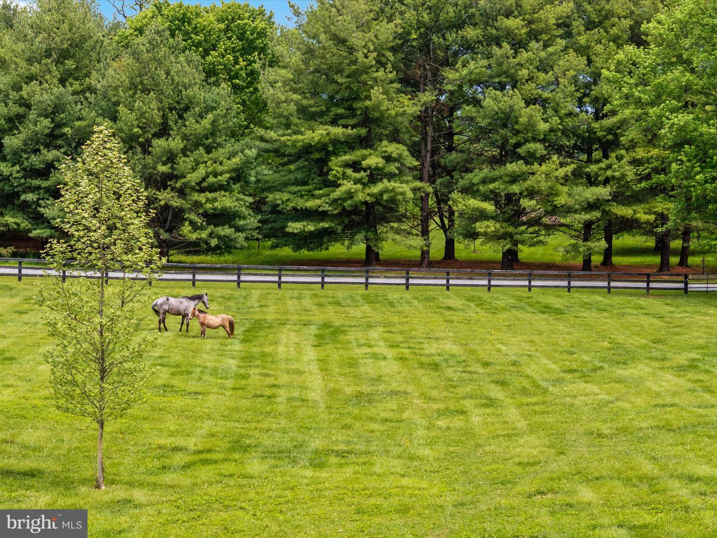 78 BURCH LN, BOYCE, Virginia 22620, 3 Bedrooms Bedrooms, ,3 BathroomsBathrooms,Residential,For sale,78 BURCH LN,VACL2003630 MLS # VACL2003630