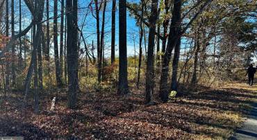 ZACATA RD, MONTROSS, Virginia 22520, ,Land,For sale,ZACATA RD,VAWE2007750 MLS # VAWE2007750