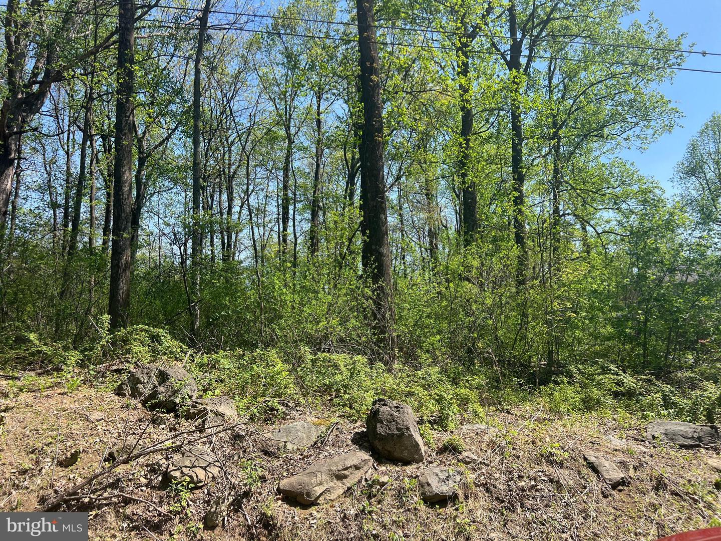 ULYSSES WAY, LINDEN, Virginia 22642, ,Land,For sale,ULYSSES WAY,VAWR2011080 MLS # VAWR2011080