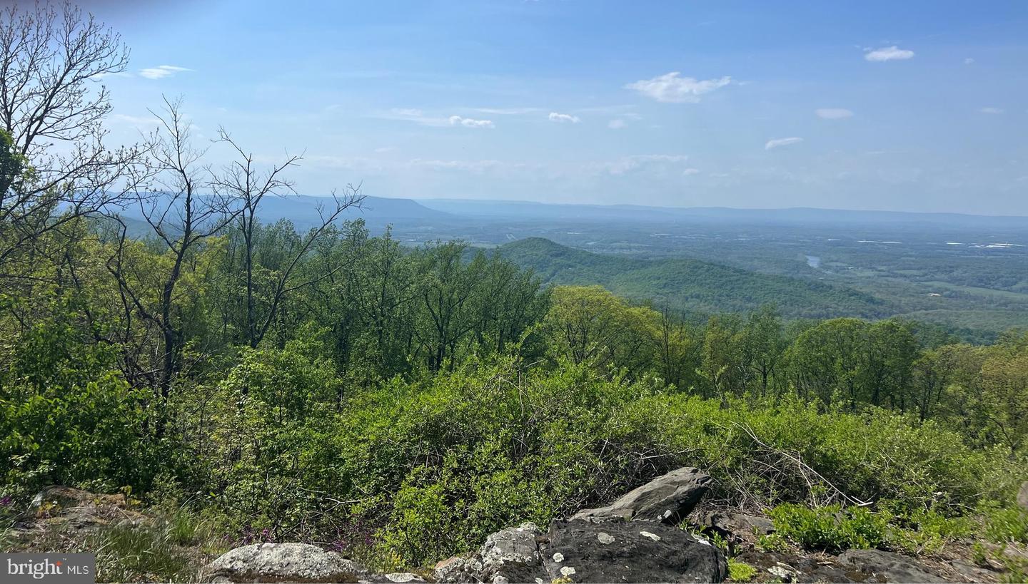 ULYSSES WAY, LINDEN, Virginia 22642, ,Land,For sale,ULYSSES WAY,VAWR2011080 MLS # VAWR2011080