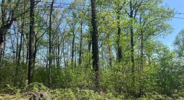 ULYSSES WAY, LINDEN, Virginia 22642, ,Land,For sale,ULYSSES WAY,VAWR2011080 MLS # VAWR2011080