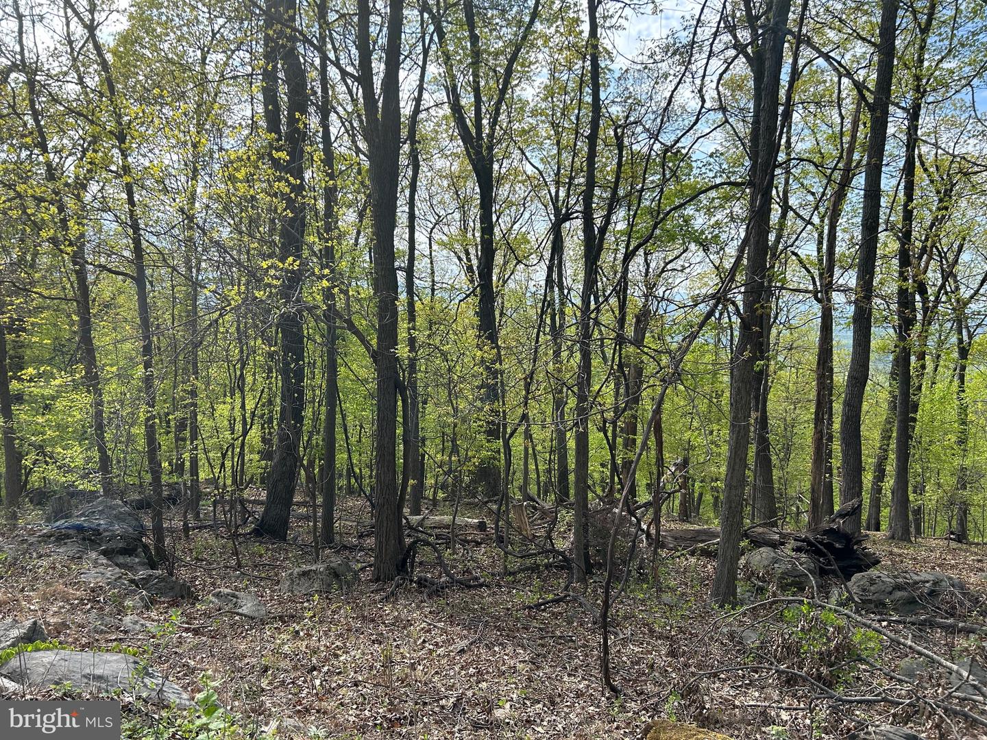 0, CHESTER GAP, Virginia 22623, ,Land,For sale,VARP2002068 MLS # VARP2002068