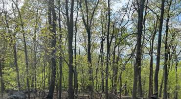 0, CHESTER GAP, Virginia 22623, ,Land,For sale,VARP2002068 MLS # VARP2002068