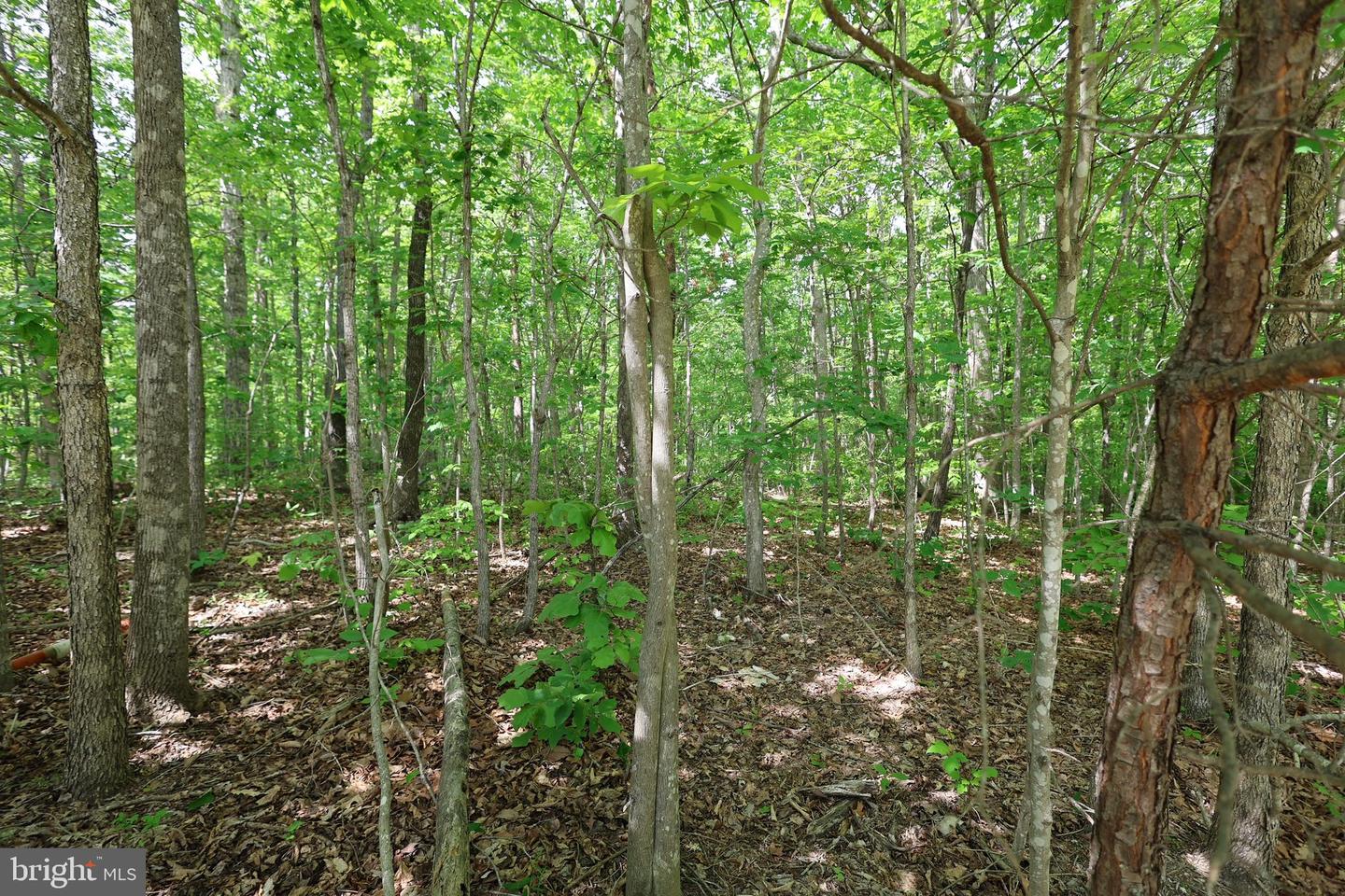9000 CLASSIC LAKES WAY, NOKESVILLE, Virginia 20181, ,Land,For sale,9000 CLASSIC LAKES WAY,VAPW2094198 MLS # VAPW2094198