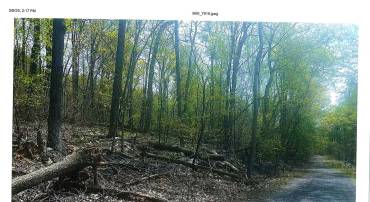 BAPTIST LN, LINDEN, Virginia 22642, ,Land,For sale,BAPTIST LN,VAWR2011106 MLS # VAWR2011106