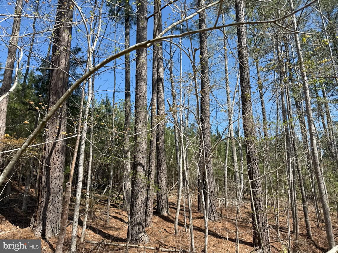 BLUEBIRD LANE BLUEBIRD LANE, CUNNINGHAM, Virginia 22963, ,Farm,For sale,BLUEBIRD LANE BLUEBIRD LANE,VAFN2000468 MLS # VAFN2000468