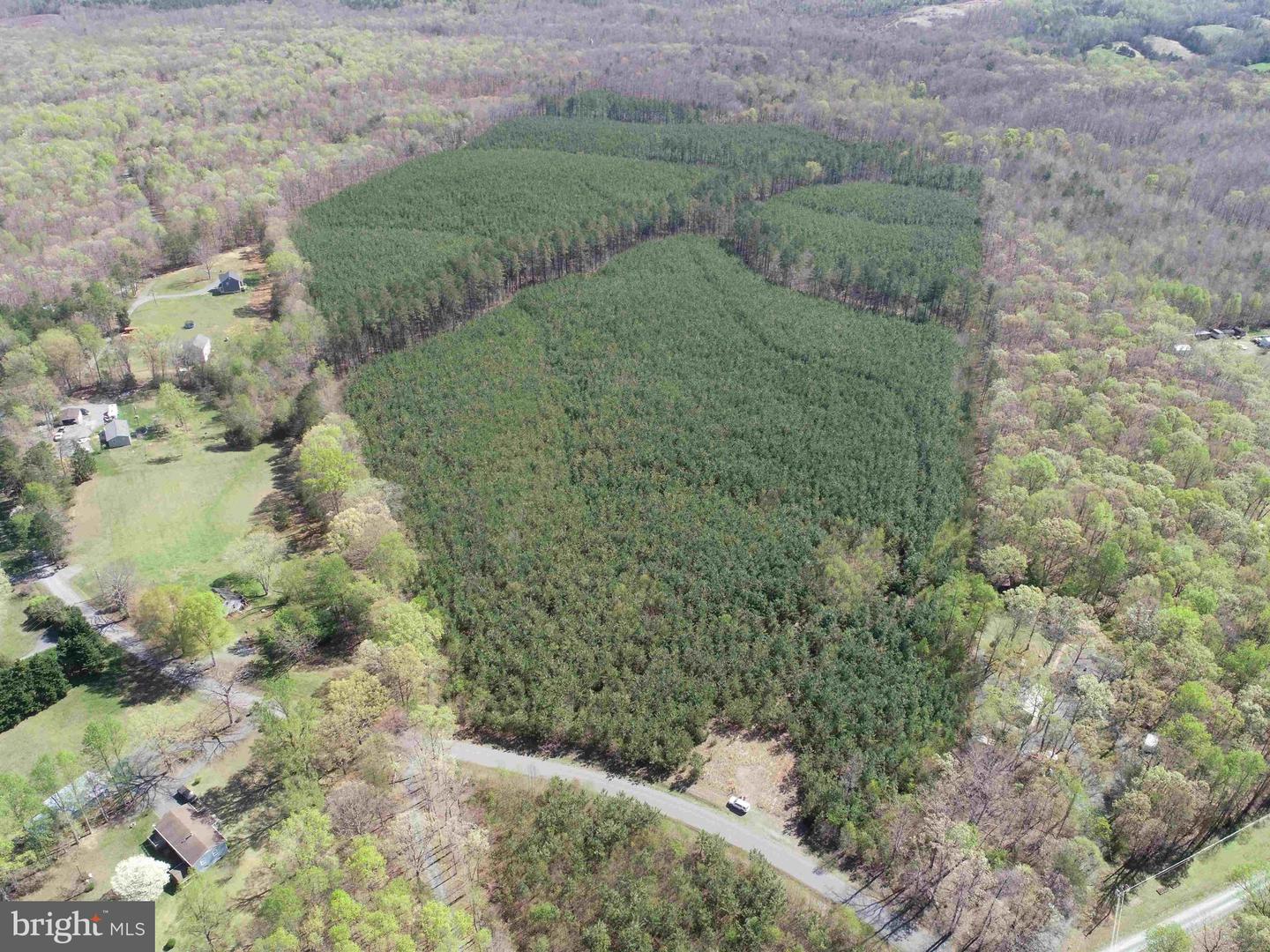 BLUEBIRD LANE BLUEBIRD LANE, CUNNINGHAM, Virginia 22963, ,Farm,For sale,BLUEBIRD LANE BLUEBIRD LANE,VAFN2000468 MLS # VAFN2000468
