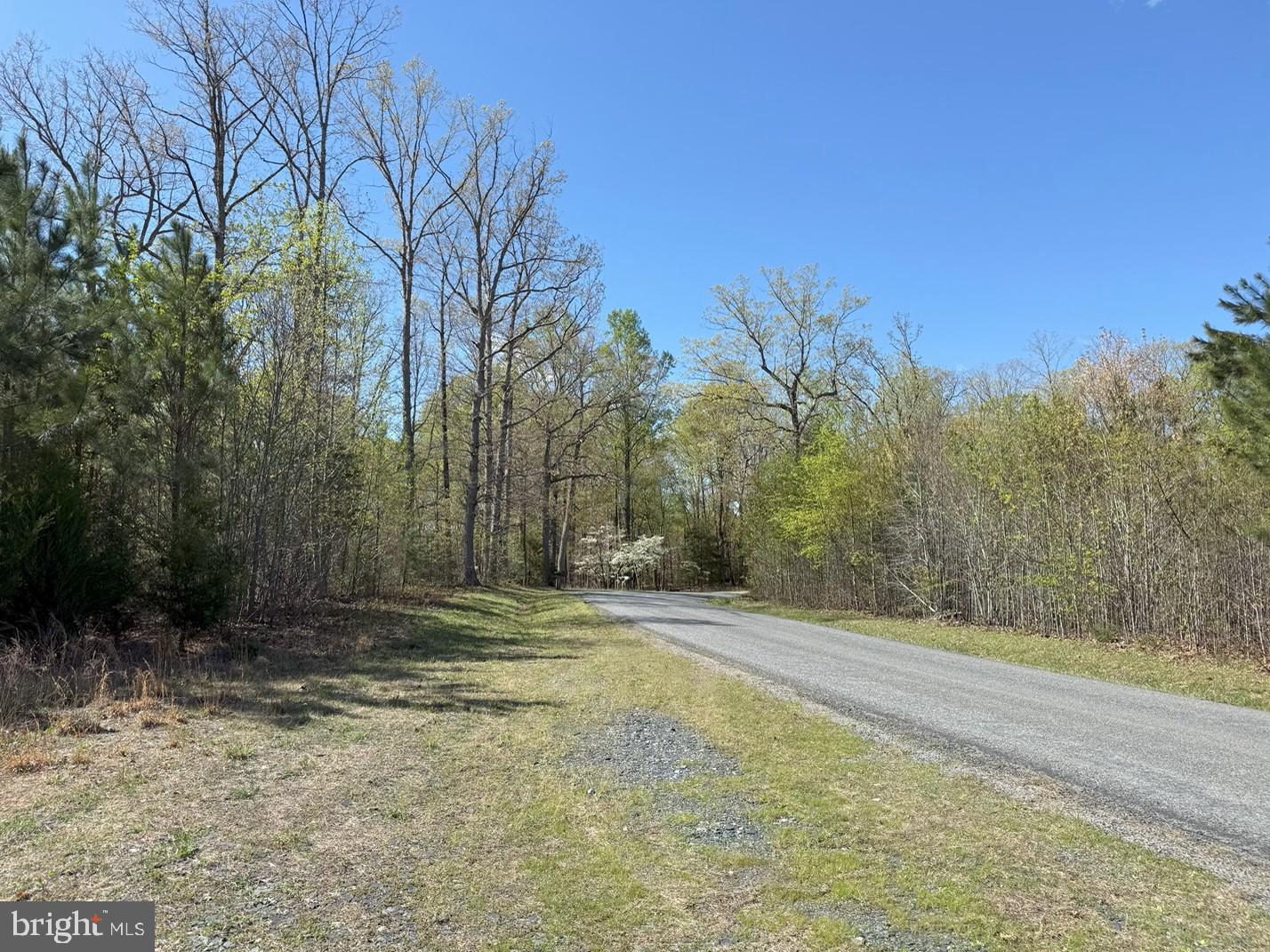 BLUEBIRD LANE BLUEBIRD LANE, CUNNINGHAM, Virginia 22963, ,Farm,For sale,BLUEBIRD LANE BLUEBIRD LANE,VAFN2000468 MLS # VAFN2000468