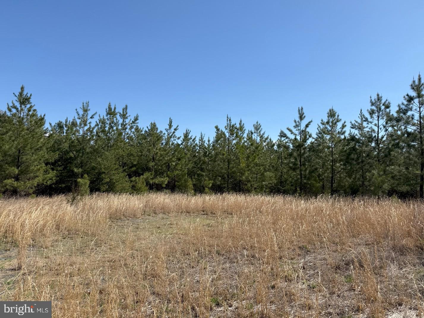 BLUEBIRD LANE BLUEBIRD LANE, CUNNINGHAM, Virginia 22963, ,Farm,For sale,BLUEBIRD LANE BLUEBIRD LANE,VAFN2000468 MLS # VAFN2000468