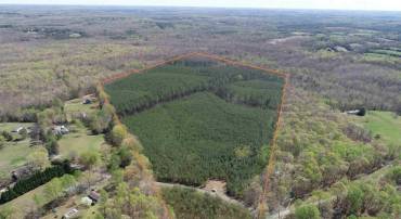 BLUEBIRD LANE BLUEBIRD LANE, CUNNINGHAM, Virginia 22963, ,Farm,For sale,BLUEBIRD LANE BLUEBIRD LANE,VAFN2000468 MLS # VAFN2000468
