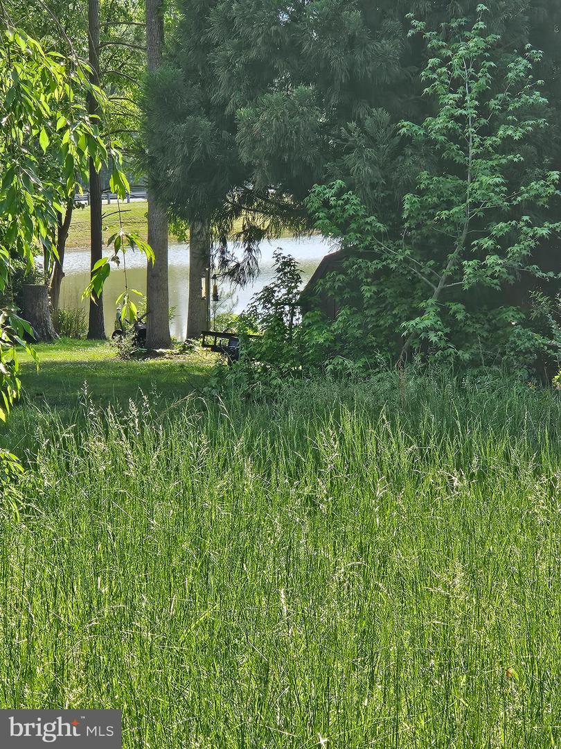 209 REMINGTON DR, RUTHER GLEN, Virginia 22546, ,Land,For sale,209 REMINGTON DR,VACV2008126 MLS # VACV2008126