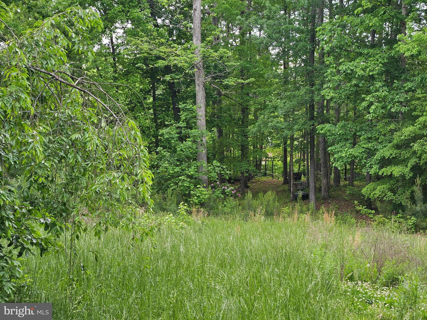 209 REMINGTON DR, RUTHER GLEN, Virginia 22546, ,Land,For sale,209 REMINGTON DR,VACV2008126 MLS # VACV2008126