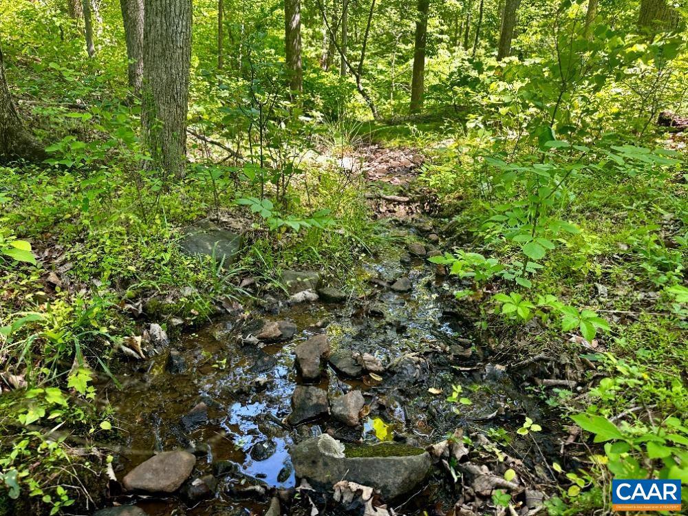 0 DUDLEY MOUNTAIN RD #063B2, CHARLOTTESVILLE, Virginia 22903, ,Land,For sale,0 DUDLEY MOUNTAIN RD #063B2,664317 MLS # 664317