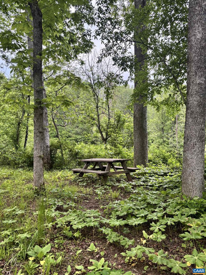 TM 53A A 11 RAPIDAN WAY, BARBOURSVILLE, Virginia 22923, ,Land,For sale,TM 53A A 11 RAPIDAN WAY,664323 MLS # 664323