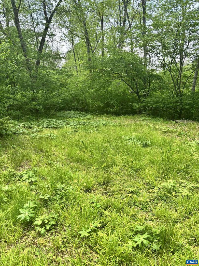 TM 53A A 11 RAPIDAN WAY, BARBOURSVILLE, Virginia 22923, ,Land,For sale,TM 53A A 11 RAPIDAN WAY,664323 MLS # 664323