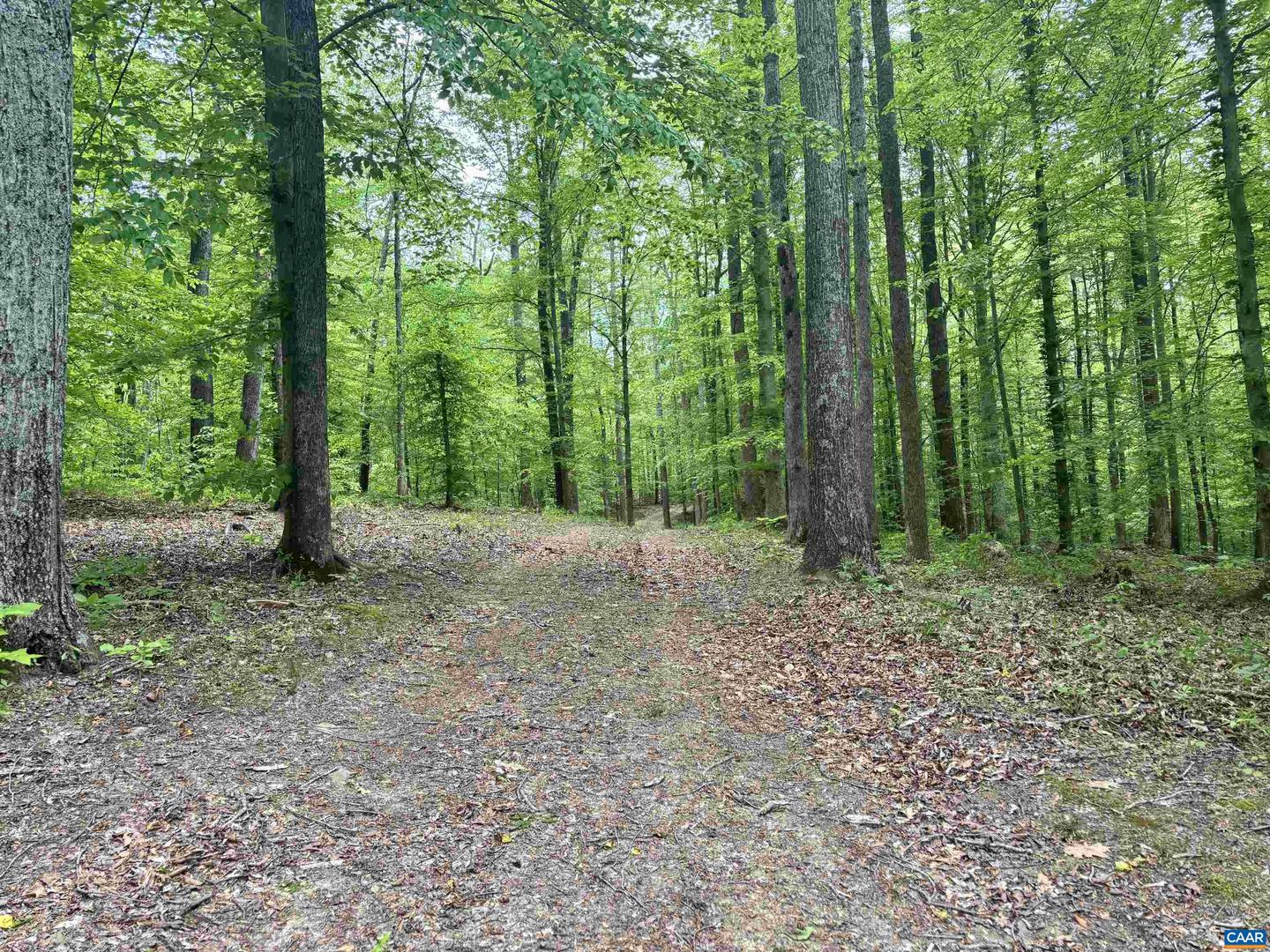 TM 53A A 11 RAPIDAN WAY, BARBOURSVILLE, Virginia 22923, ,Land,For sale,TM 53A A 11 RAPIDAN WAY,664323 MLS # 664323