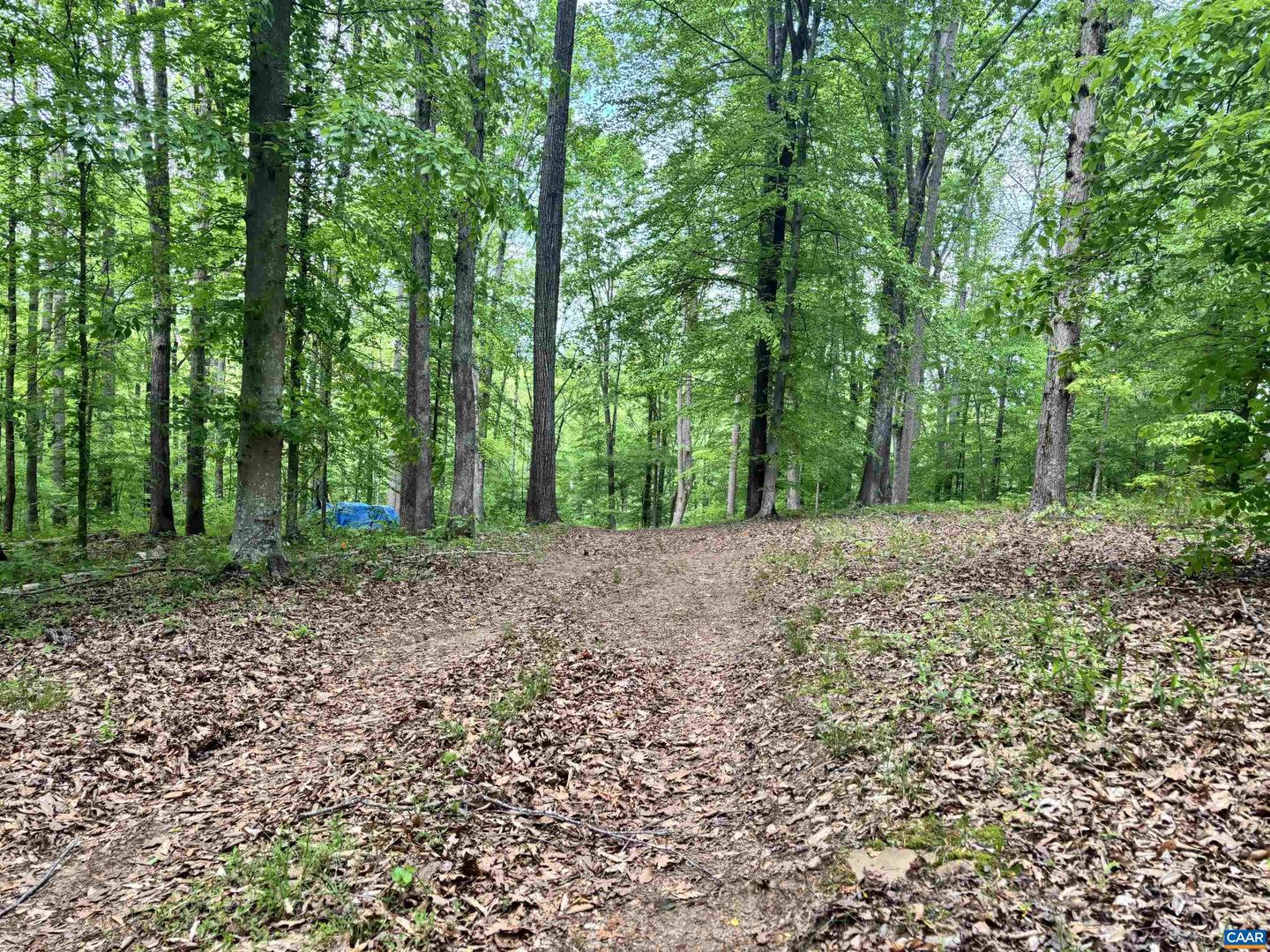 TM 53A A 11 RAPIDAN WAY, BARBOURSVILLE, Virginia 22923, ,Land,For sale,TM 53A A 11 RAPIDAN WAY,664323 MLS # 664323