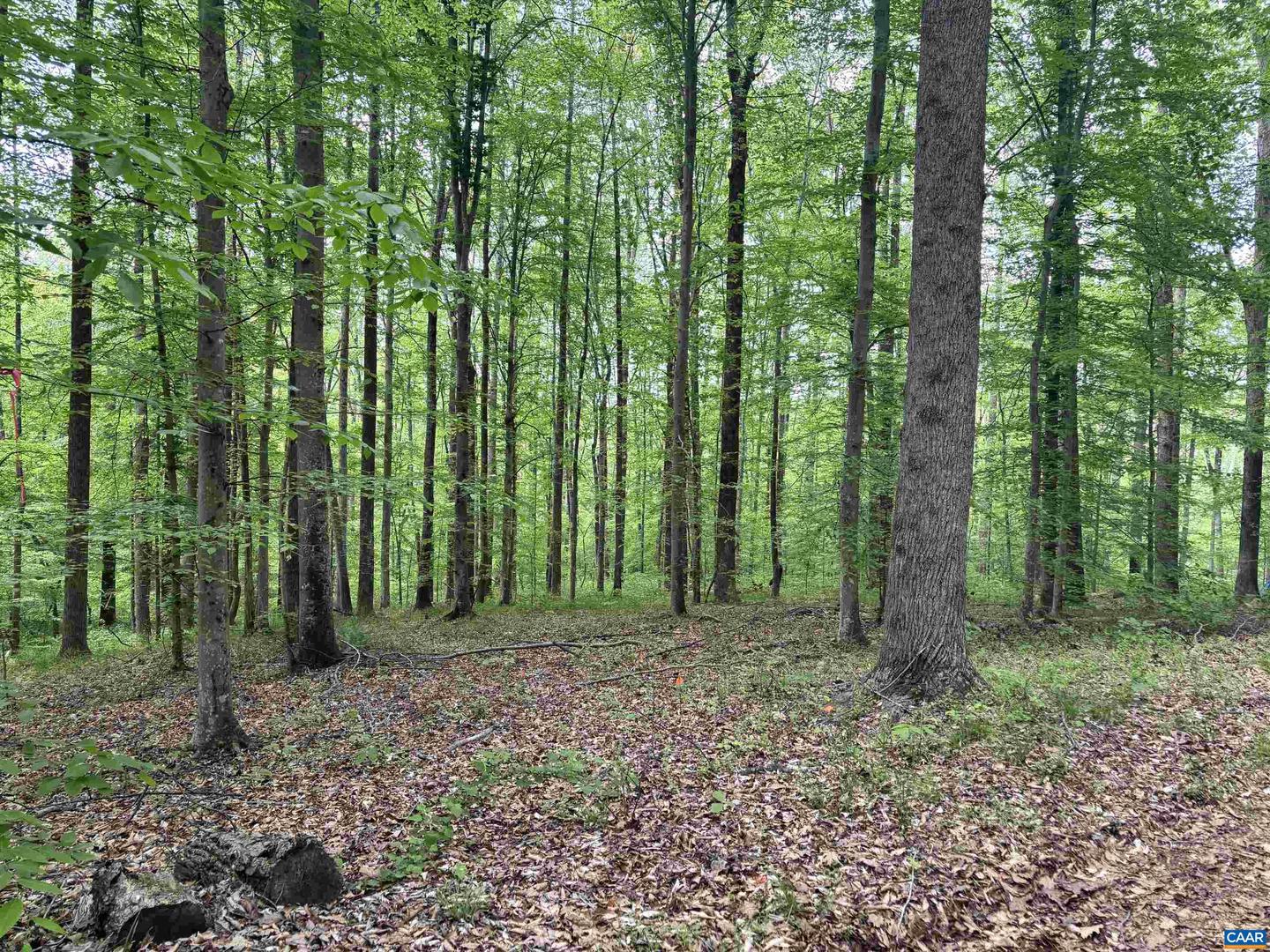 TM 53A A 11 RAPIDAN WAY, BARBOURSVILLE, Virginia 22923, ,Land,For sale,TM 53A A 11 RAPIDAN WAY,664323 MLS # 664323