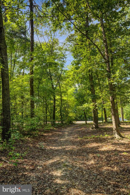 2616 COUGAR LN, LOCUST GROVE, Virginia 22508, 3 Bedrooms Bedrooms, ,3 BathroomsBathrooms,Residential,2616 COUGAR LN,VAOR2009638 MLS # VAOR2009638