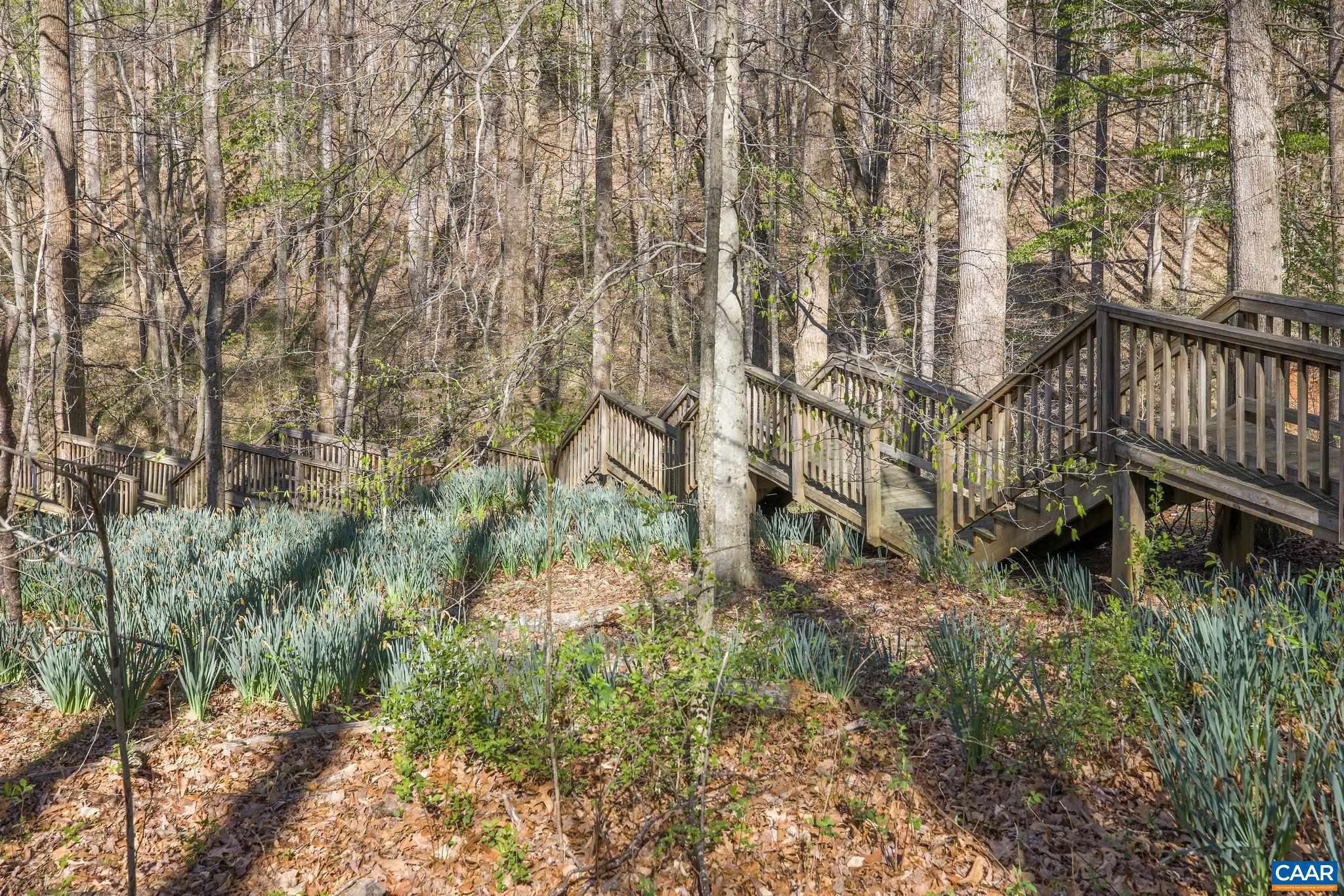 3470 OLD LYNCHBURG RD, NORTH GARDEN, Virginia 22959, 7 Bedrooms Bedrooms, ,4 BathroomsBathrooms,Residential,3470 OLD LYNCHBURG RD,663188 MLS # 663188