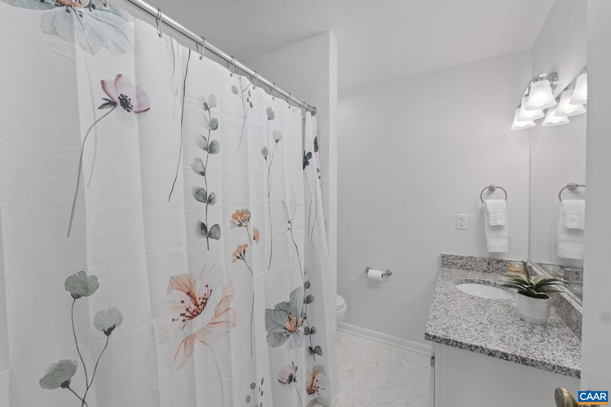 707 WILDER DR, CHARLOTTESVILLE, Virginia 22901, 3 Bedrooms Bedrooms, ,2 BathroomsBathrooms,Residential,707 WILDER DR,664313 MLS # 664313