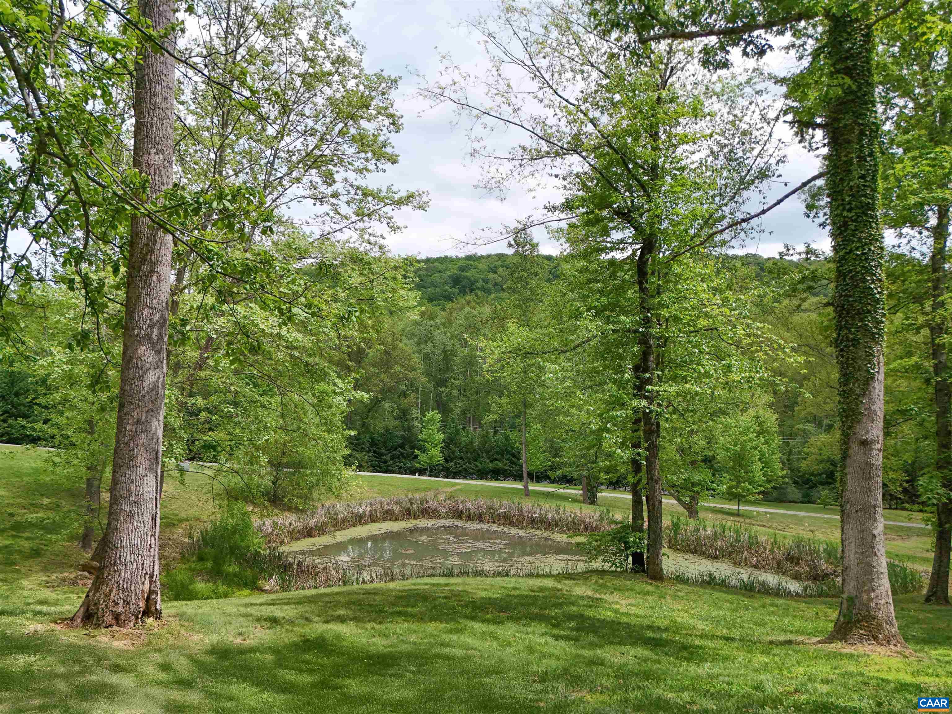 4036 MONACAN TRAIL RD, NORTH GARDEN, Virginia 22959, 4 Bedrooms Bedrooms, ,2 BathroomsBathrooms,Residential,4036 MONACAN TRAIL RD,664318 MLS # 664318