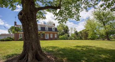 293 LLAMA FARM RD, CHARLOTTESVILLE, Virginia 22902, 3 Bedrooms Bedrooms, ,4 BathroomsBathrooms,Residential,Lower Sherwood,293 LLAMA FARM RD,664327 MLS # 664327