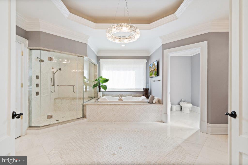1039 AZIZA CT, GREAT FALLS, Virginia 22066, 6 Bedrooms Bedrooms, ,8 BathroomsBathrooms,Residential,For sale,1039 AZIZA CT,VAFX2239102 MLS # VAFX2239102