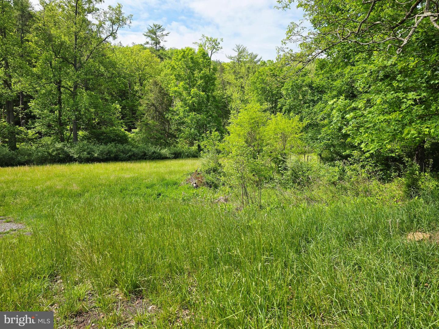 4908 LONGDALE FURNACE RD., CLIFTON FORGE, Virginia 24422, 4 Bedrooms Bedrooms, 9 Rooms Rooms,2 BathroomsBathrooms,Farm,For sale,4908 LONGDALE FURNACE RD.,VAAY2000024 MLS # VAAY2000024