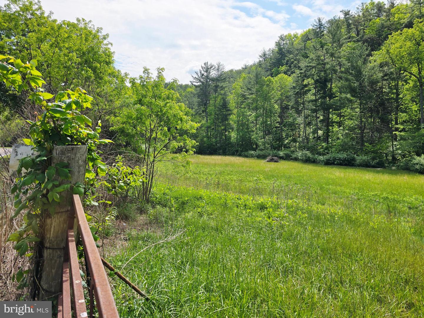 4908 LONGDALE FURNACE RD., CLIFTON FORGE, Virginia 24422, 4 Bedrooms Bedrooms, 9 Rooms Rooms,2 BathroomsBathrooms,Farm,For sale,4908 LONGDALE FURNACE RD.,VAAY2000024 MLS # VAAY2000024