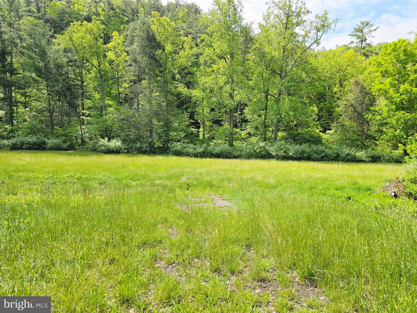4908 LONGDALE FURNACE RD., CLIFTON FORGE, Virginia 24422, 4 Bedrooms Bedrooms, 9 Rooms Rooms,2 BathroomsBathrooms,Farm,For sale,4908 LONGDALE FURNACE RD.,VAAY2000024 MLS # VAAY2000024