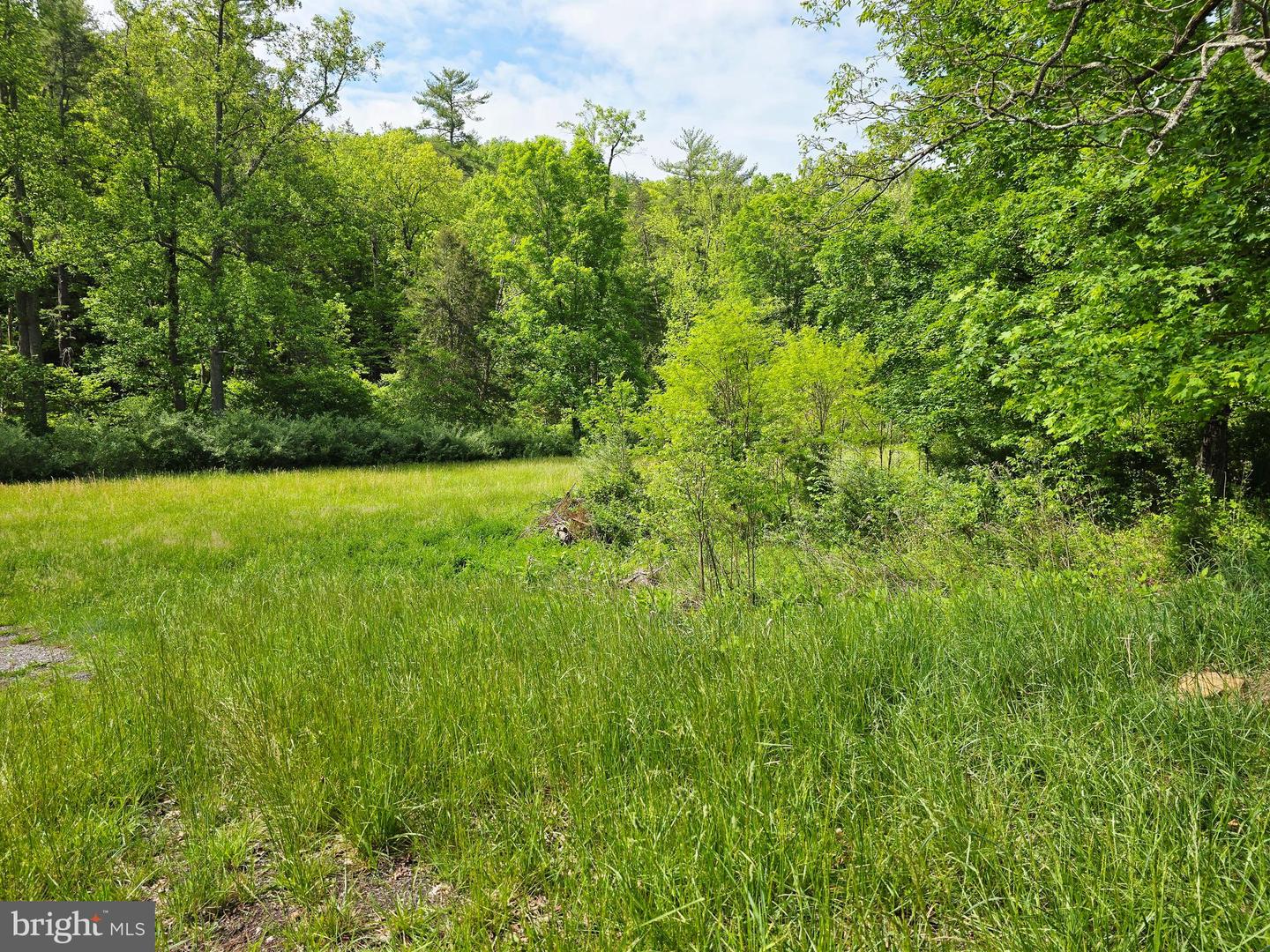 4908 LONGDALE FURNACE RD., CLIFTON FORGE, Virginia 24422, 4 Bedrooms Bedrooms, 9 Rooms Rooms,2 BathroomsBathrooms,Farm,For sale,4908 LONGDALE FURNACE RD.,VAAY2000024 MLS # VAAY2000024