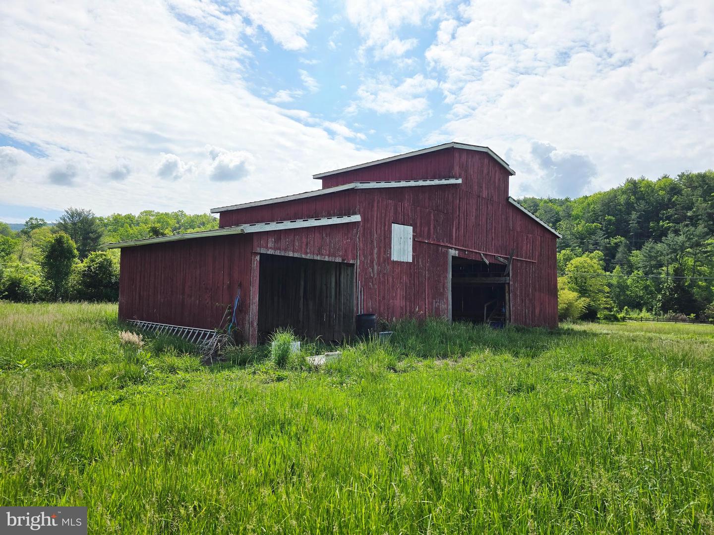 4908 LONGDALE FURNACE RD., CLIFTON FORGE, Virginia 24422, 4 Bedrooms Bedrooms, 9 Rooms Rooms,2 BathroomsBathrooms,Farm,For sale,4908 LONGDALE FURNACE RD.,VAAY2000024 MLS # VAAY2000024