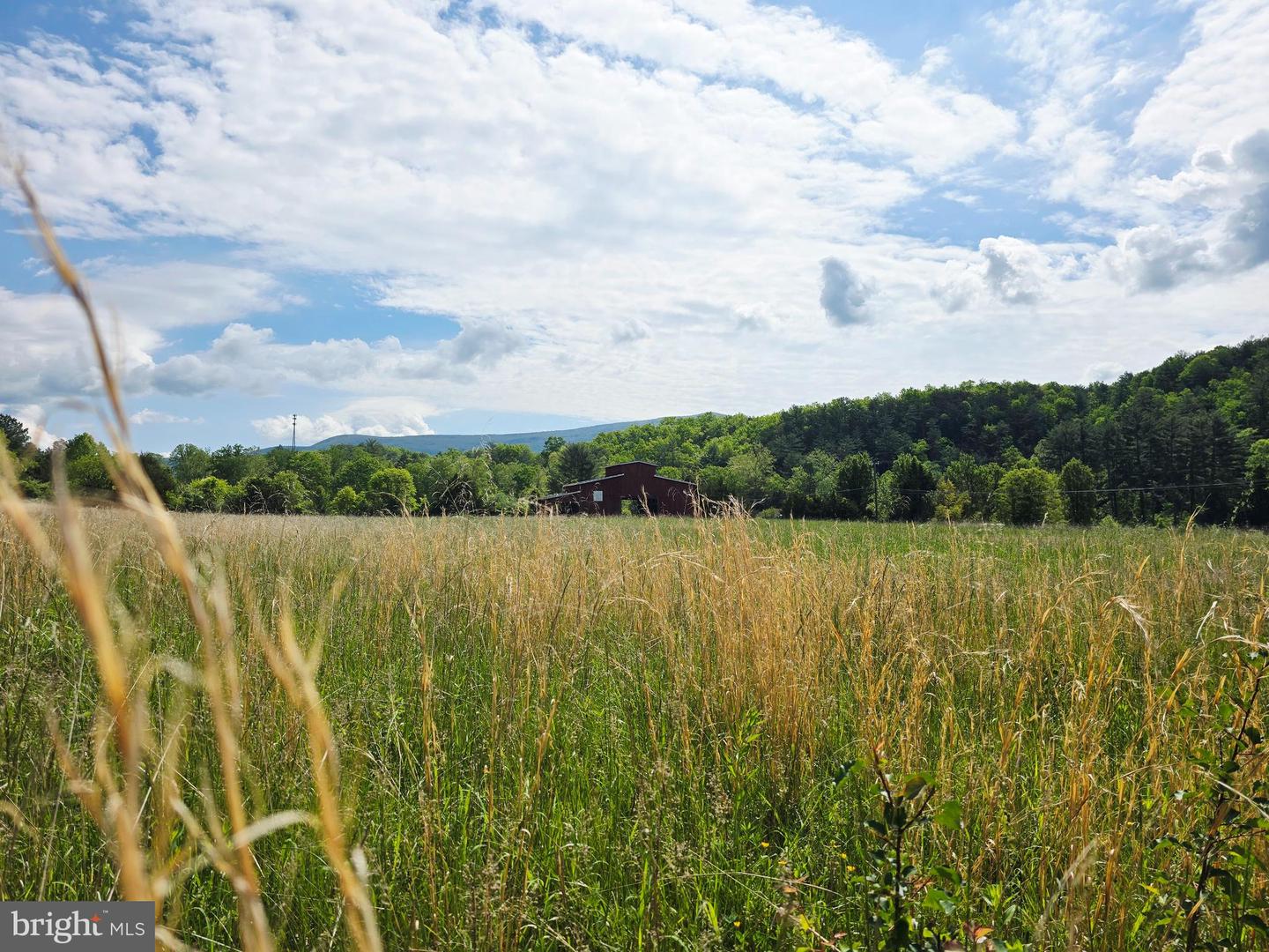 4908 LONGDALE FURNACE RD., CLIFTON FORGE, Virginia 24422, 4 Bedrooms Bedrooms, 9 Rooms Rooms,2 BathroomsBathrooms,Farm,For sale,4908 LONGDALE FURNACE RD.,VAAY2000024 MLS # VAAY2000024