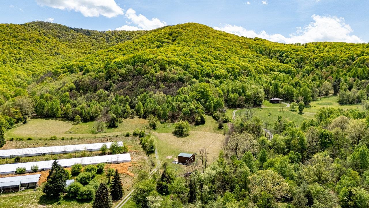 1797 CUBBAGE HOLLOW RD, STANLEY, Virginia 22851, ,Land,1797 CUBBAGE HOLLOW RD,664338 MLS # 664338