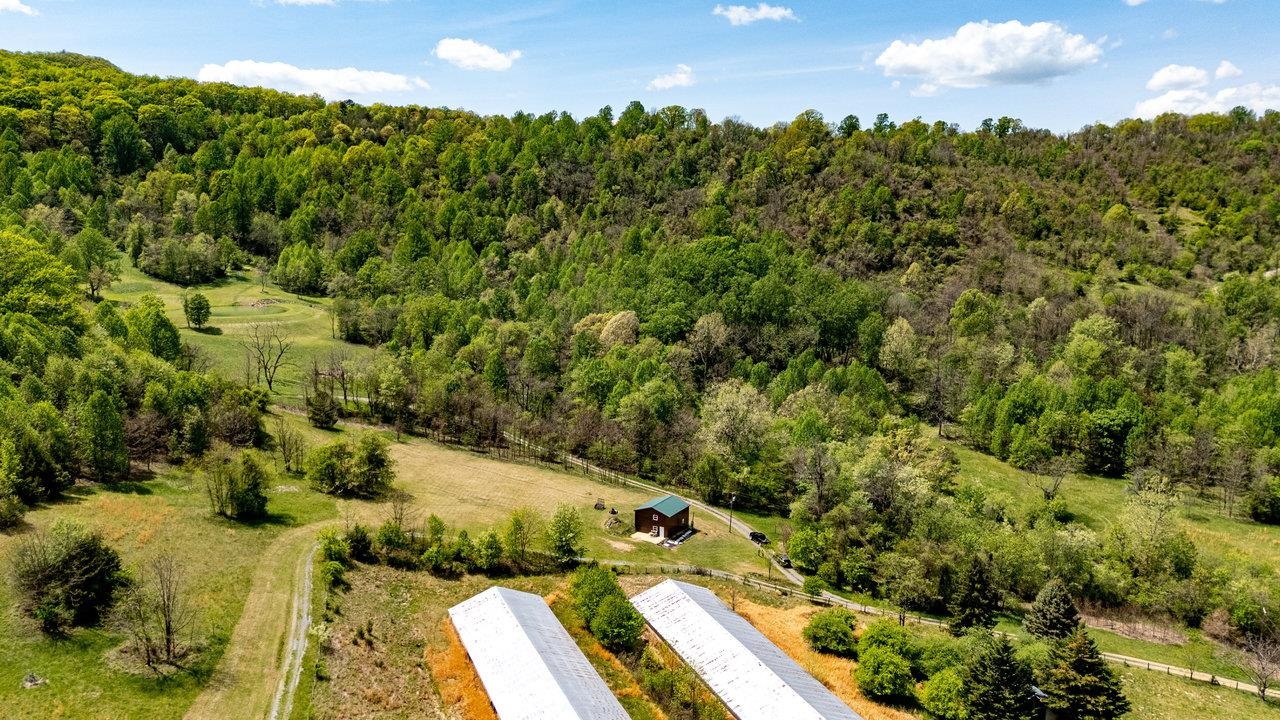 1797 CUBBAGE HOLLOW RD, STANLEY, Virginia 22851, ,Land,1797 CUBBAGE HOLLOW RD,664338 MLS # 664338