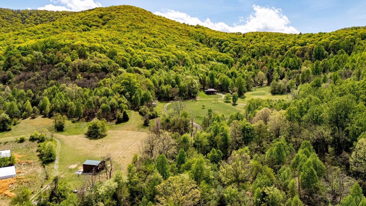 1797 CUBBAGE HOLLOW RD, STANLEY, Virginia 22851, ,Land,1797 CUBBAGE HOLLOW RD,664338 MLS # 664338