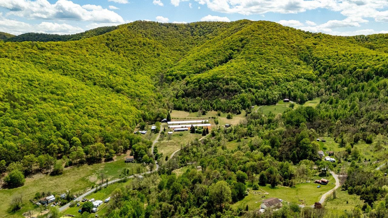 1797 CUBBAGE HOLLOW RD, STANLEY, Virginia 22851, ,Land,1797 CUBBAGE HOLLOW RD,664338 MLS # 664338