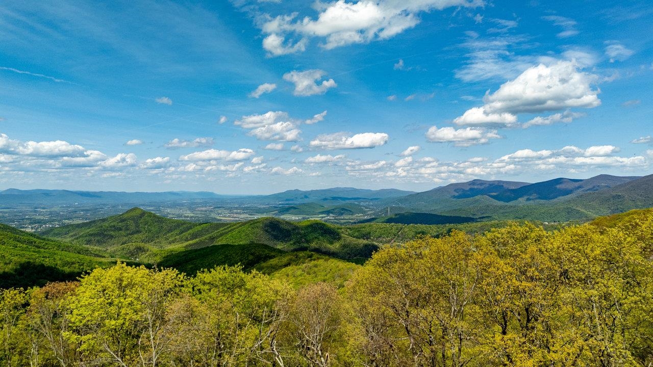 1797 CUBBAGE HOLLOW RD, STANLEY, Virginia 22851, ,Land,1797 CUBBAGE HOLLOW RD,664338 MLS # 664338