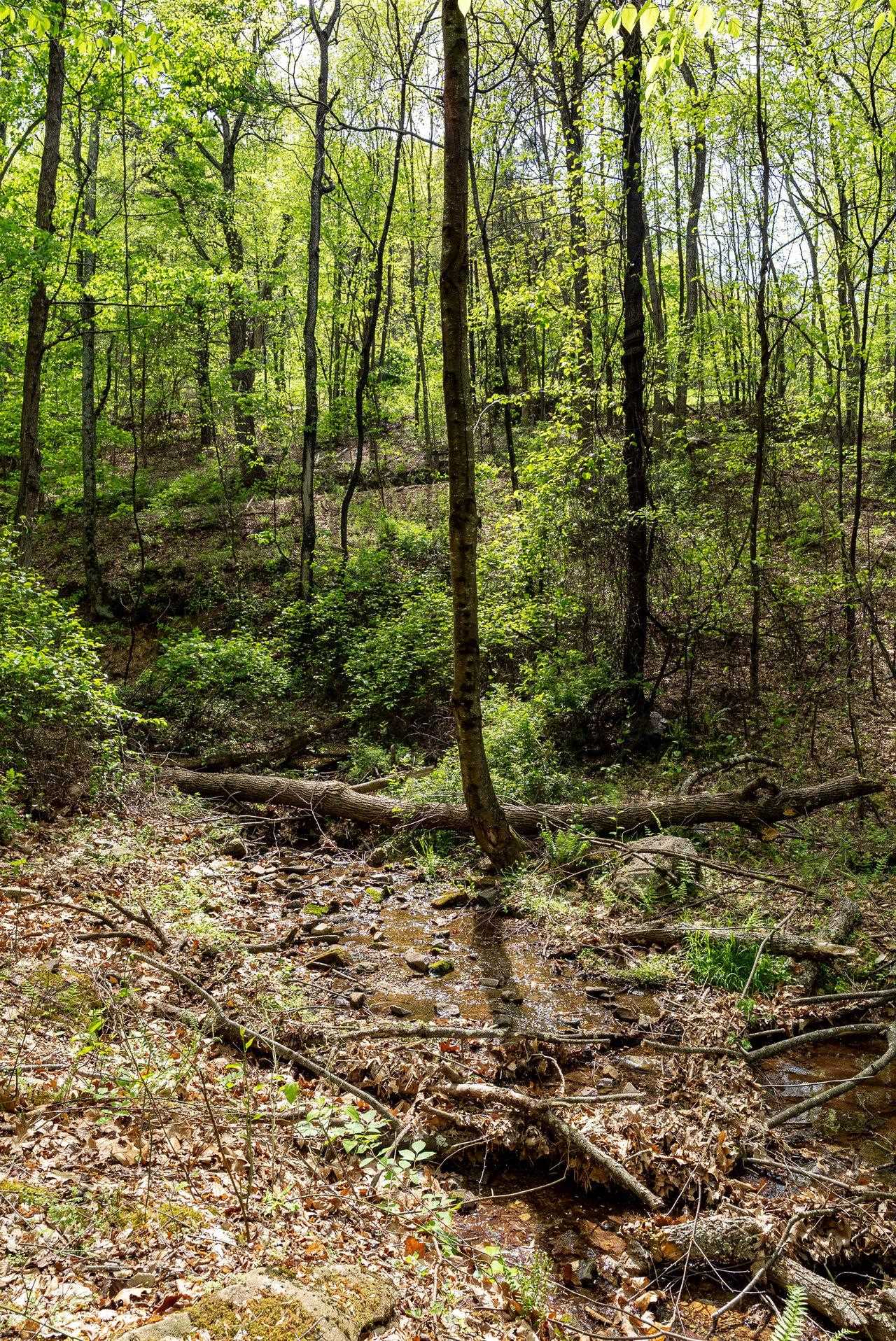 1797 CUBBAGE HOLLOW RD, STANLEY, Virginia 22851, ,Land,1797 CUBBAGE HOLLOW RD,664338 MLS # 664338