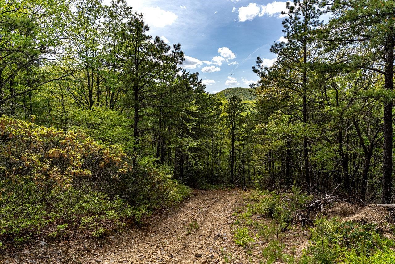 1797 CUBBAGE HOLLOW RD, STANLEY, Virginia 22851, ,Land,1797 CUBBAGE HOLLOW RD,664338 MLS # 664338