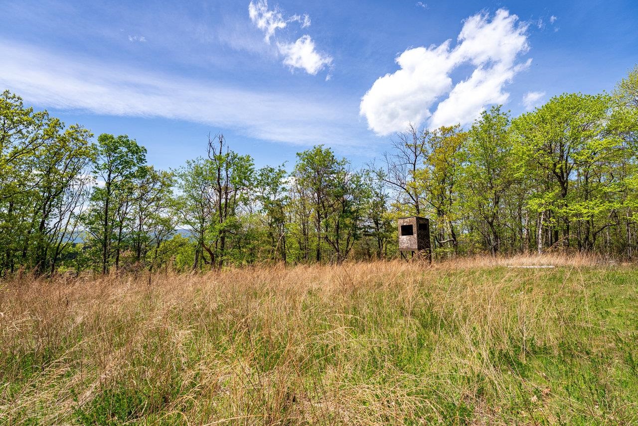 1797 CUBBAGE HOLLOW RD, STANLEY, Virginia 22851, ,Land,1797 CUBBAGE HOLLOW RD,664338 MLS # 664338