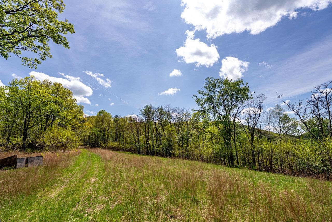 1797 CUBBAGE HOLLOW RD, STANLEY, Virginia 22851, ,Land,1797 CUBBAGE HOLLOW RD,664338 MLS # 664338